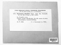 Image Associated With the Occurence